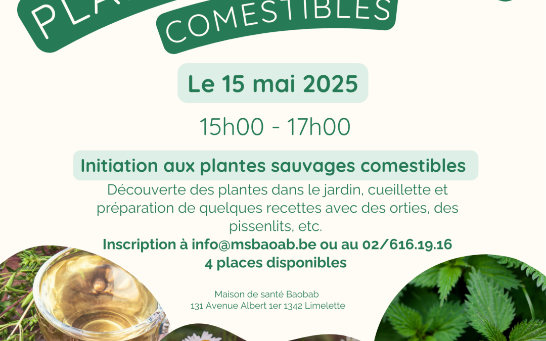 Initiation aux plantes sauvages comestibles