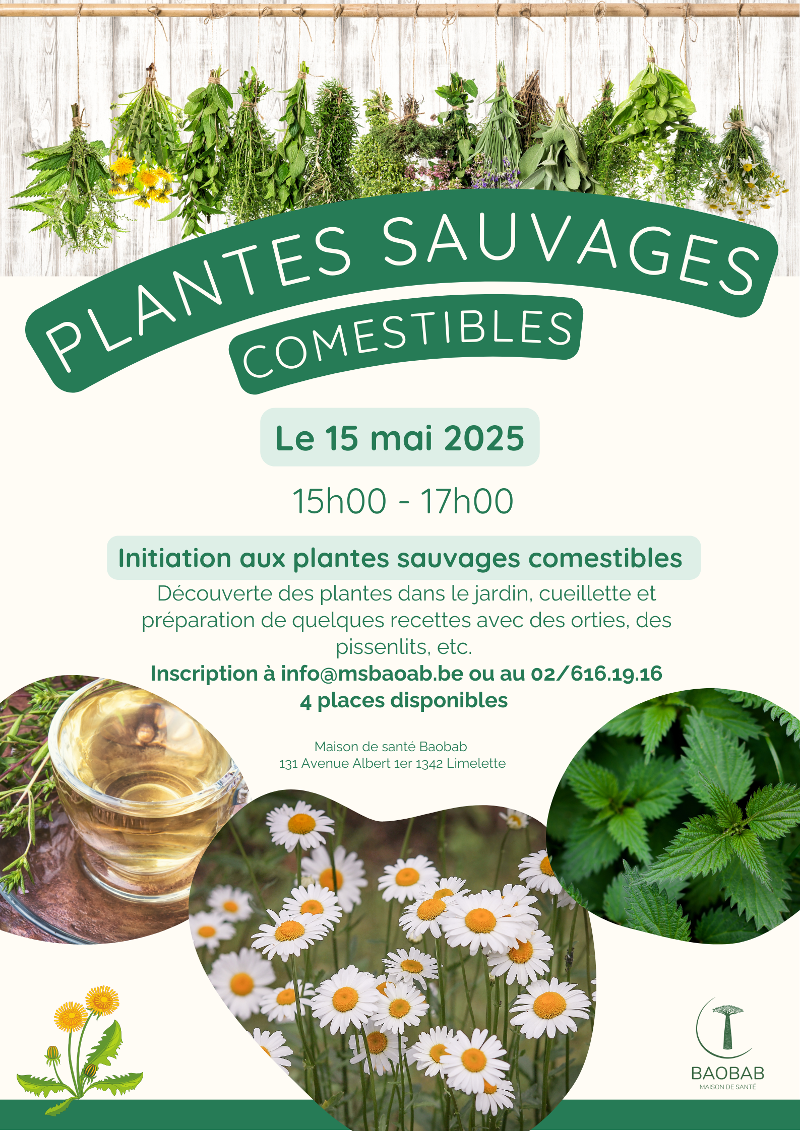 Initiation aux plantes sauvages comestibles