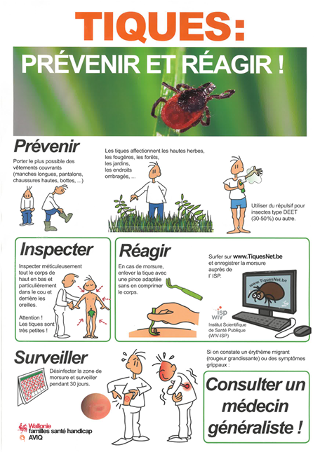Tiques : prévenir et réagir !