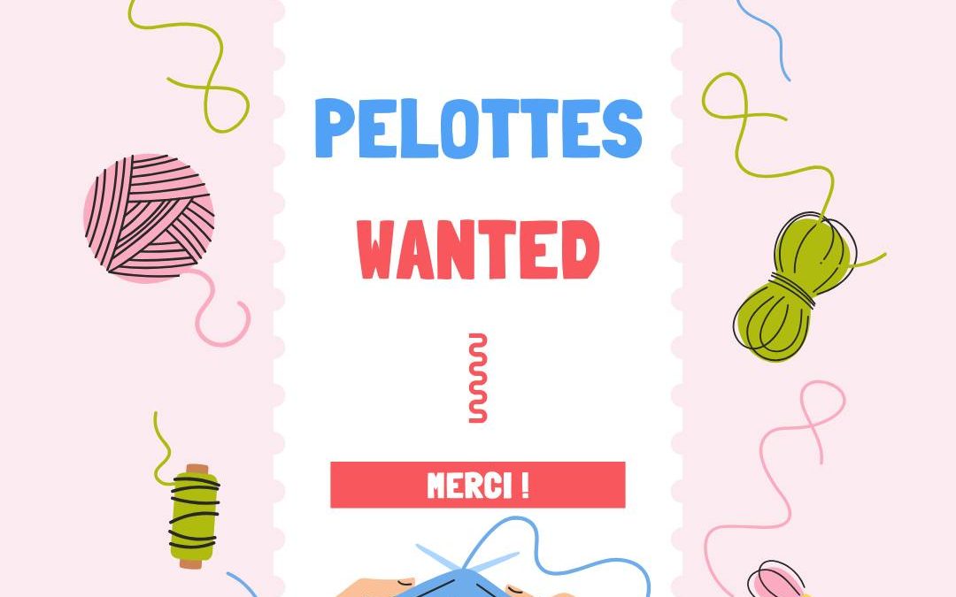 A la recherche de pelotes de laine🧶