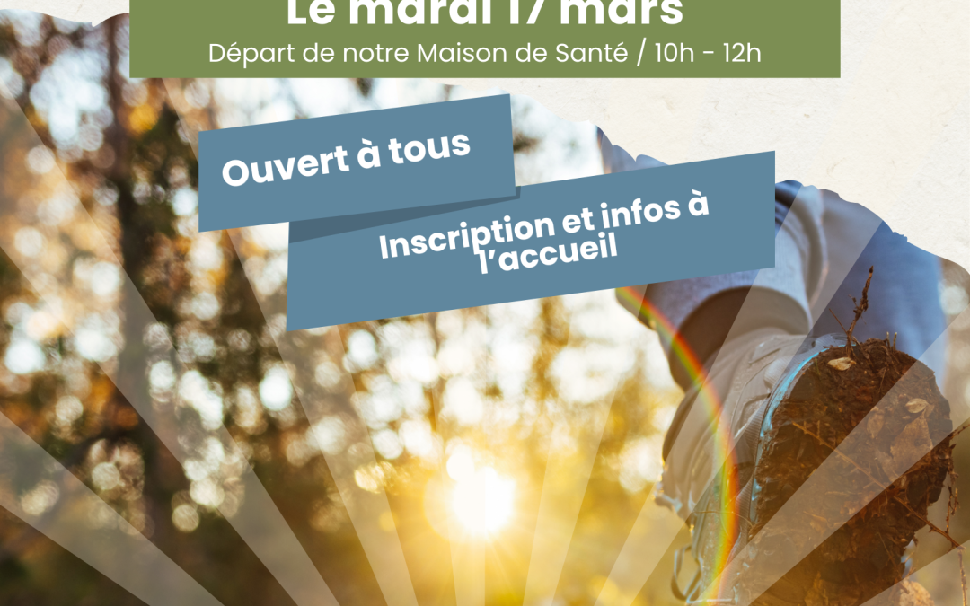 🌿 Marche Nature / Philo – Reconnexion à la nature 🌿